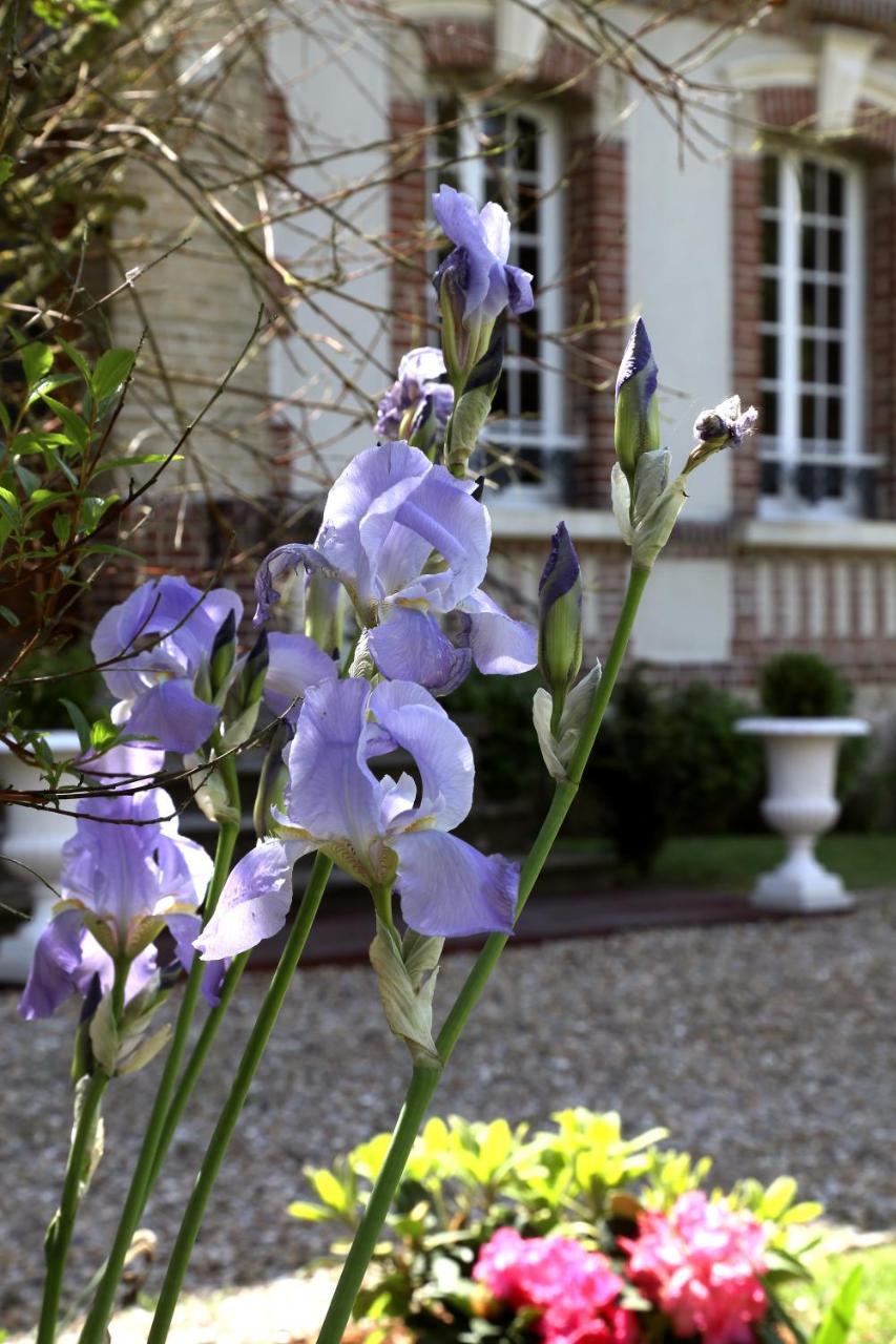 Saint-Martin-aux-Chartrains Manoir Le Mesnil Bed & Breakfast エクステリア 写真